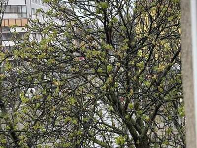 Mietwohnung in 1100 Wien