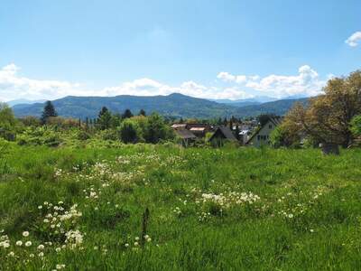 Grundstück kaufen in 9201 Krumpendorf (Bild 1)