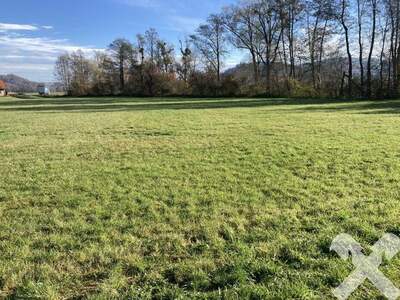 Gewerbeobjekt kaufen in 8341 Paldau (Bild 1)