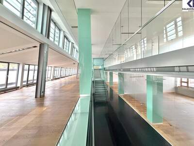 Gewerbeobjekt mieten in 1010 Wien