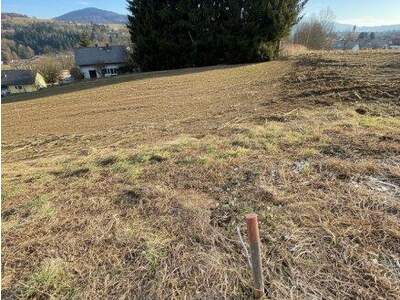 Grundstück kaufen in 8670 Krieglach (Bild 5)