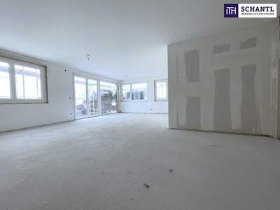 Terrassenwohnung kaufen in 2320 Schwechat (Bild 5)