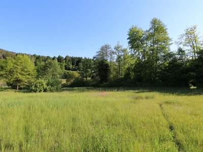 Grundstück kaufen in 9081 Maria Wörth