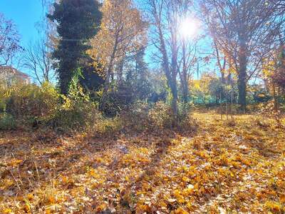 Grundstück kaufen in 1130 Wien (Bild 4)