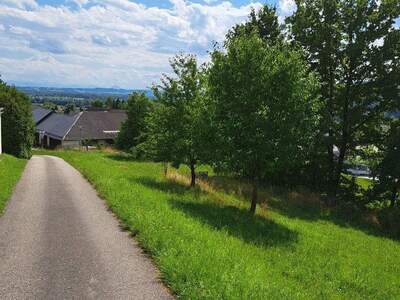 Grundstück provisionsfrei kaufen in 4111 Walding