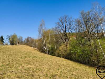 Grundstück kaufen in 8524 Deutschlandsberg (Bild 2)