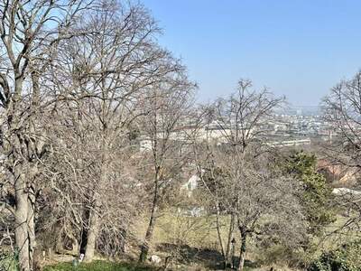 Grundstück kaufen in 2340 Mödling (Bild 5)