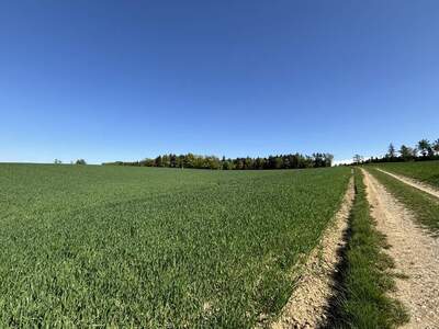 Gewerbeobjekt kaufen in 4622 Eggendorf