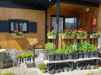 Ferienhaus kaufen in 3162 Rainfeld (Bild 3)