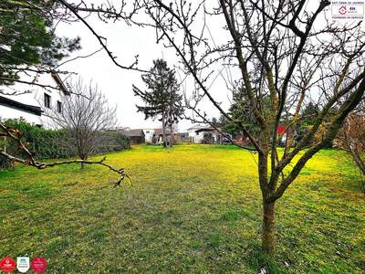 Grundstück kaufen in 2283 Obersiebenbrunn (Bild 2)