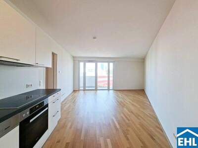 Terrassenwohnung mieten in 1020 Wien (Bild 1)