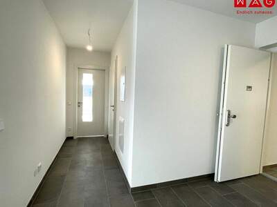 Terrassenwohnung kaufen in 4060 Leonding (Bild 4)