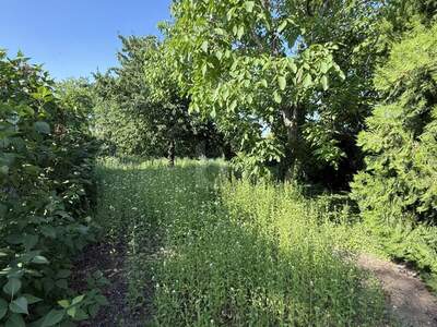 Grundstück kaufen in 7072 Mörbisch (Bild 3)