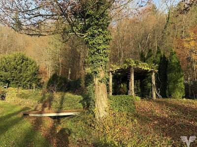 Haus kaufen in 5026 Salzburg (Bild 3)