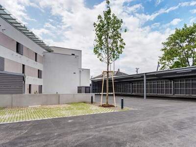 Gewerbeobjekt mieten in 2232 Deutsch