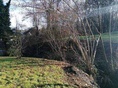 Haus kaufen in 8461 Ehrenhausen (Bild 4)