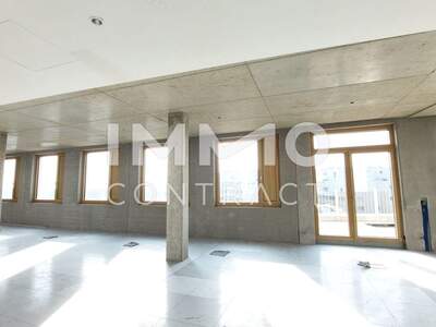 Gewerbeobjekt mieten in 1230 Wien (Bild 3)