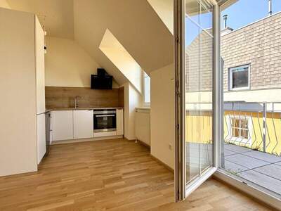 Terrassenwohnung mieten in 1130 Wien (Bild 1)