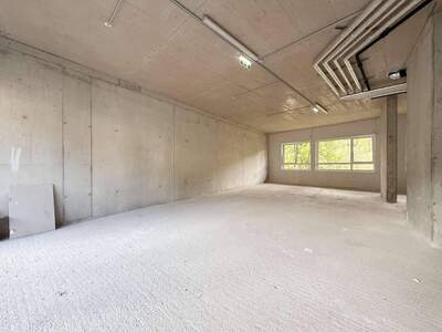 Gewerbeobjekt kaufen in 6361 Hopfgarten