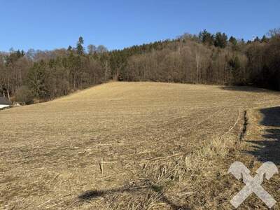 Grundstück kaufen in 8330 Gniebing