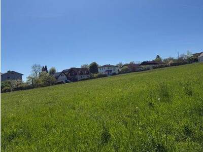 Mehrfamilienhaus kaufen in 4501 Neuhofen (Bild 3)