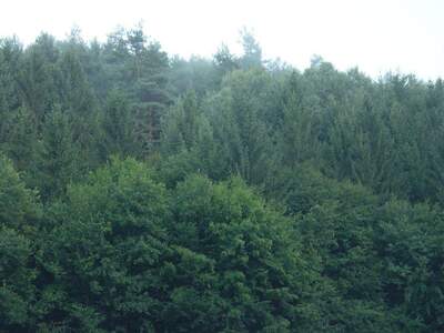 Gewerbeobjekt kaufen in 8044 Graz