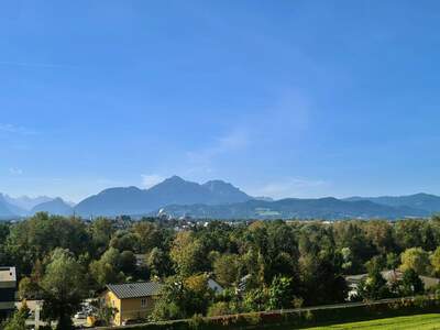 Wohnung mieten in 5101 Bergheim