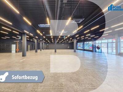Gewerbeobjekt mieten in 4050 Traun