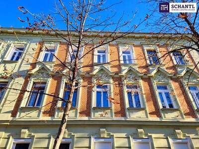 Wohnung kaufen in 1210 Wien (Bild 3)