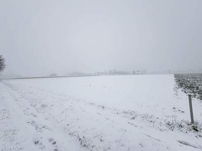 Land- und Forstwirtschaft kaufen in 4072 Alkoven