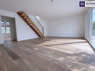 Terrassenwohnung kaufen in 2514 Traiskirchen (Bild 3)