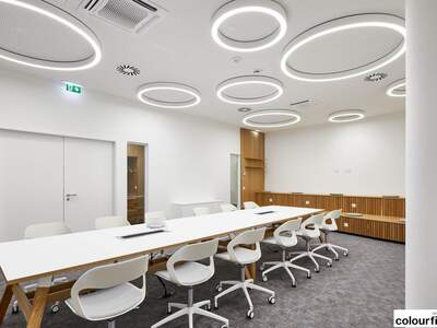 Gewerbeobjekt mieten in 1210 Wien (Bild 4)