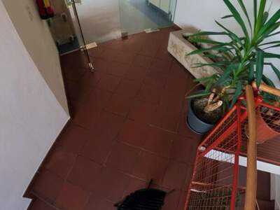 Gewerbeobjekt mieten in 4614 Marchtrenk (Bild 5)