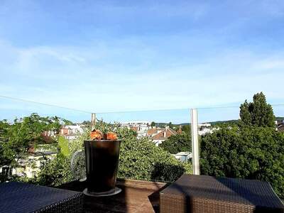 Altbauwohnung mieten in 1190 Wien (Bild 3)