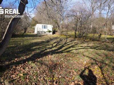 Grundstück kaufen in 2372 Gießhübl (Bild 2)