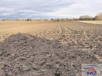 Gewerbeobjekt kaufen in 3464 Pettendorf
