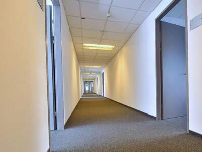 Gewerbeobjekt mieten in 4020 Linz (Bild 4)
