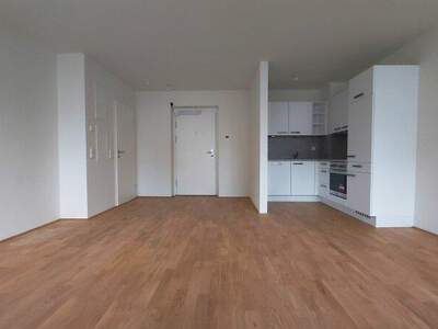 Terrassenwohnung mieten in 1100 Wien (Bild 1)