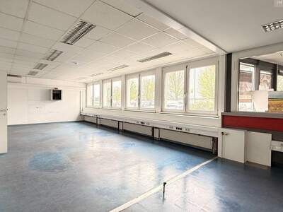 Gewerbeobjekt mieten in 2320 Schwechat (Bild 3)