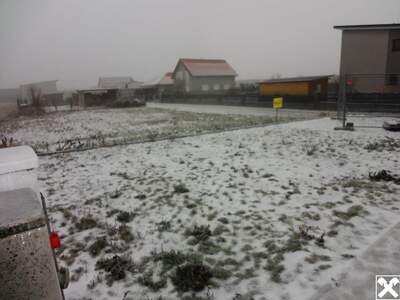 Grundstück kaufen in 7083 Purbach (Bild 3)