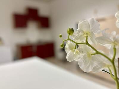 Gewerbeobjekt mieten in 8724 Spielberg (Bild 5)