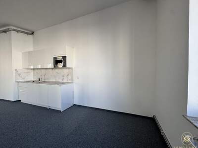Gewerbeobjekt mieten in 1100 Wien (Bild 2)