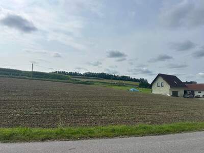 Grundstück kaufen in 4631 Krenglbach