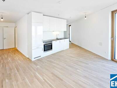 Terrassenwohnung mieten in 1100 Wien (Bild 1)