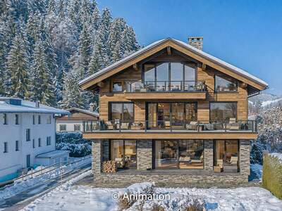 Mehrfamilienhaus kaufen in 6370 Kitzbühel (Bild 3)