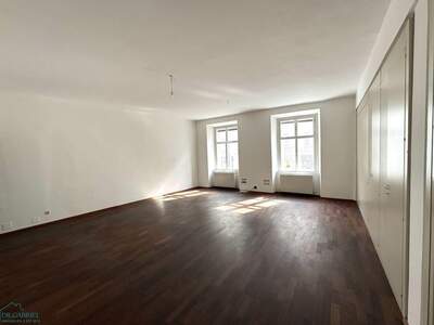 Gewerbeobjekt mieten in 1010 Wien (Bild 5)