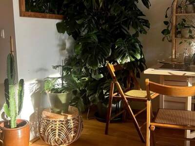 Altbauwohnung mieten in 4020 Linz (Bild 5)