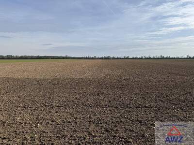 Anlageobjekt kaufen in 2232 Deutsch Wagram