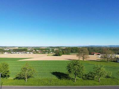 Grundstück kaufen in 4492 Hofkirchen (Bild 2)