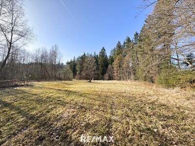 Gewerbeobjekt kaufen in 5131 Holzöster